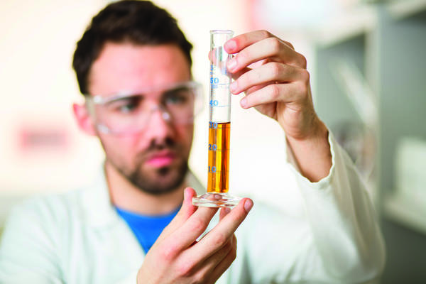Comment fonctionne le doctorat en France ?  Campus France